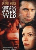 Spider's Web