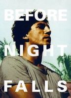 Before Night Falls