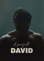 The Perfect David