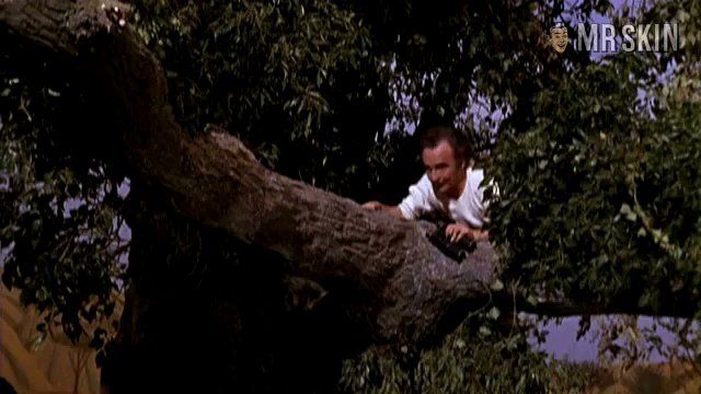 Joan Sims Nude Naked Pics And Sex Scenes At Mr Skin