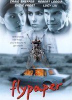 Flypaper