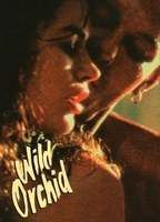 Wild Orchid