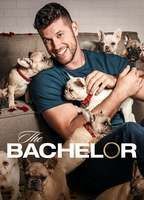 The Bachelor