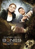Bones