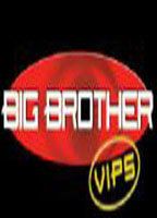 Big Brothers VIPS
