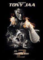 The Protector 2