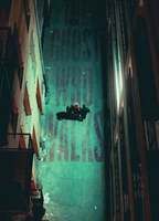 The Ghost Who Walks