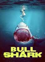 Bull Shark